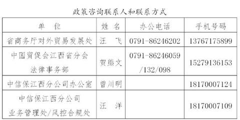 二十条措施最新解读 政策核心、适用范围与官方咨询渠道详解